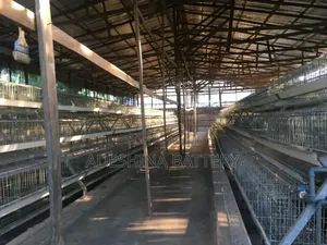New Local Fabricated Cages and Complete Accessories
