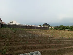 Certificate of Occupancy
