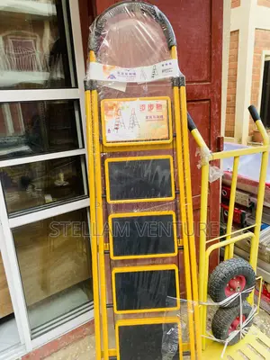 Ladders Different Sizes Steps