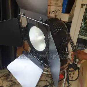 Cob 200 Watts Par Cans Light