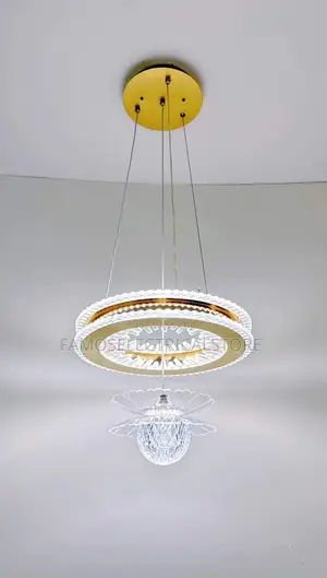 Modern Led Ceiling Light