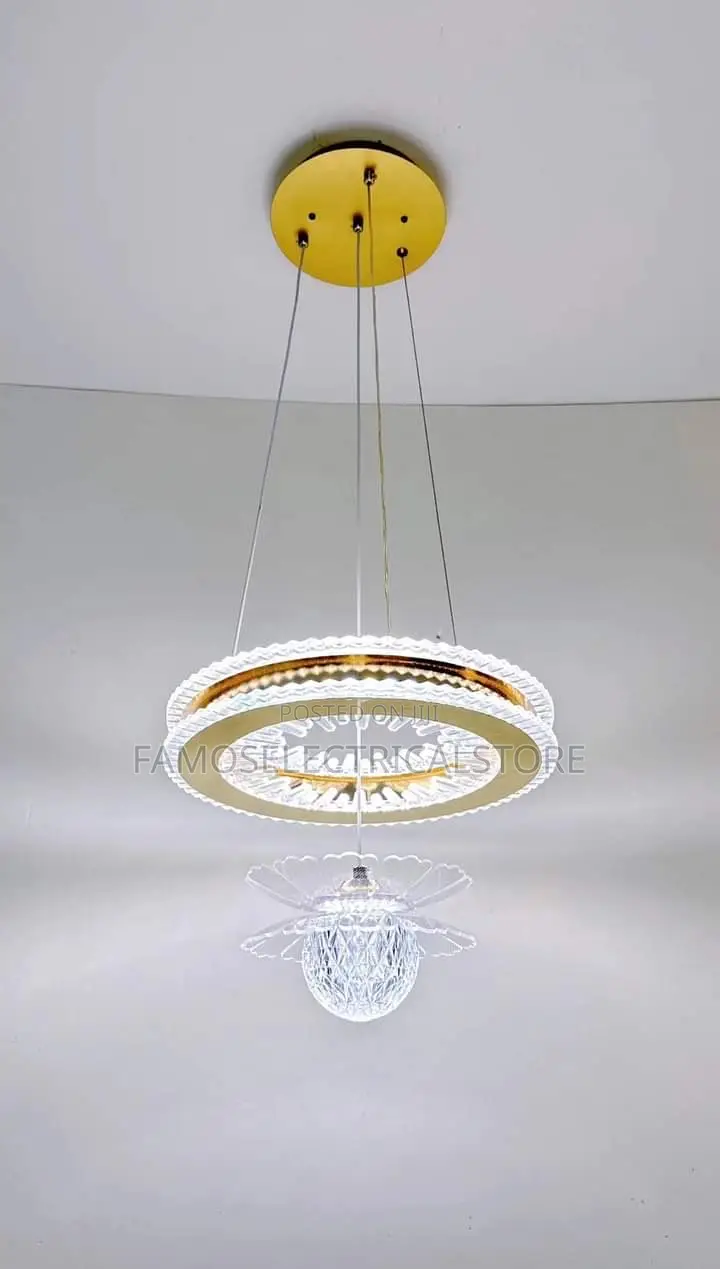 Modern Led Ceiling Light