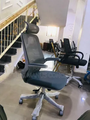 Ergonomic Office Chair With Adjustable Hand