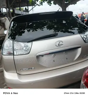 Lexus RX 330 2004 Silver