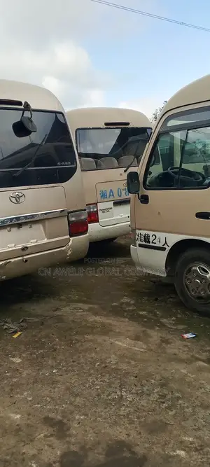 Toyota Coaster 2015 Brown