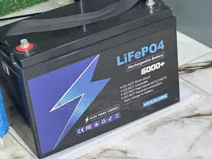 12 V100ah Lifeo4 Battery