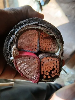 300mm 4core Armoured Cable Full Gauge Coleman