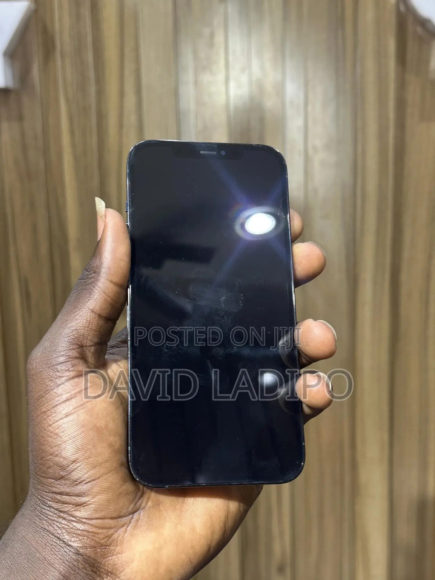 Apple iPhone 12 Pro Max 256 GB Blue