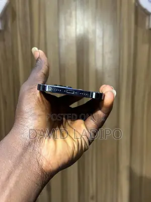 Apple iPhone 12 Pro Max 256 GB Blue