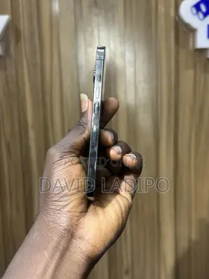 Apple iPhone 13 Pro 256 GB Black