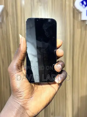 Apple iPhone 13 Pro 256 GB Black