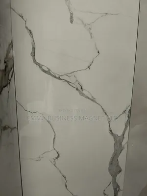 High Quality New Modern Indian Floor Tiles