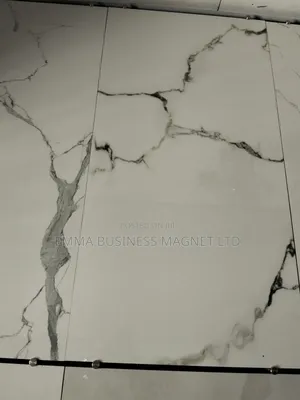 High Quality New Modern Indian Floor Tiles