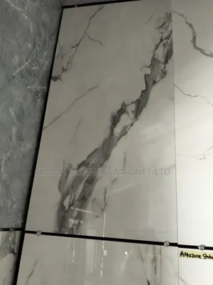 High Quality New Modern Indian Floor Tiles