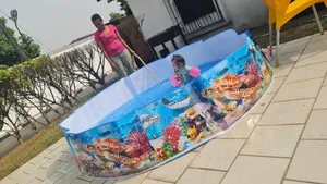 Intex Snapset Pool.