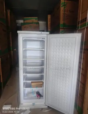 Standing Freezer