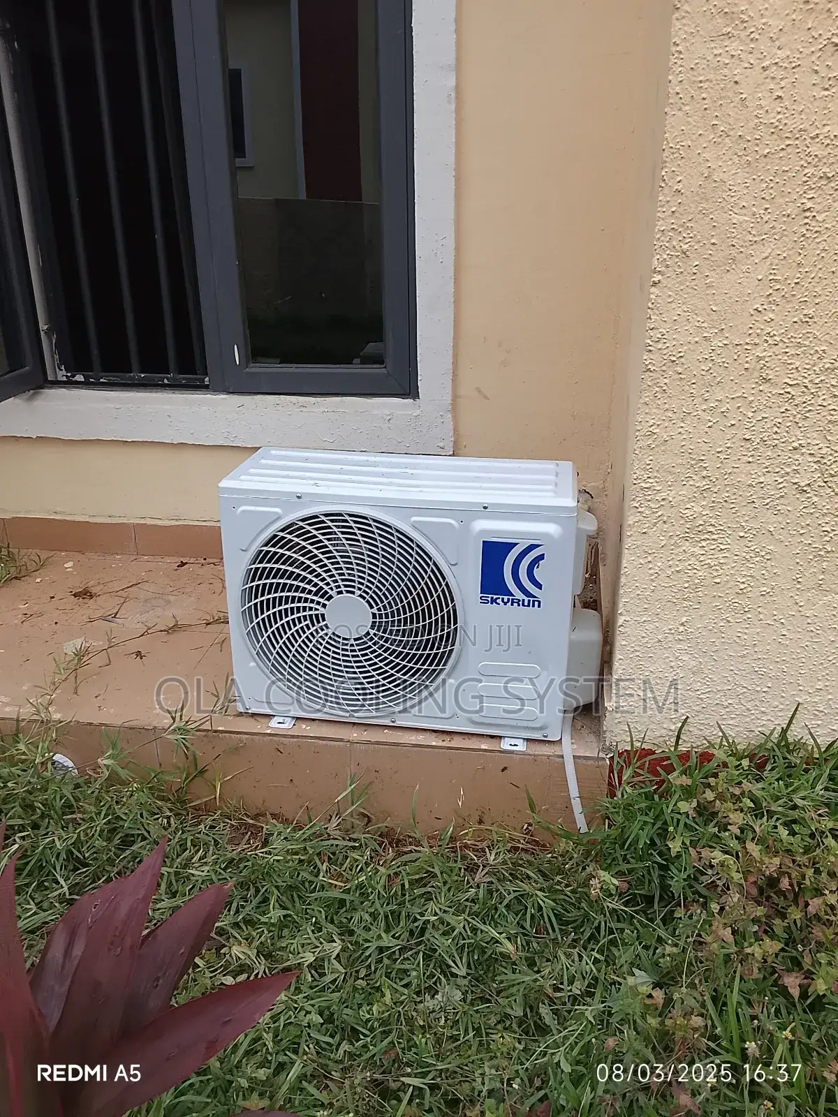 Professional Technician