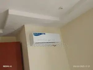 Professional Technician