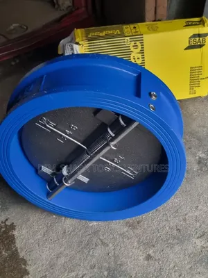 12"Inch Wafer Check Valve(Dn300)