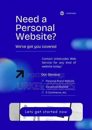 Professional Website Designer Nigeria | Business E-Commerce Sites