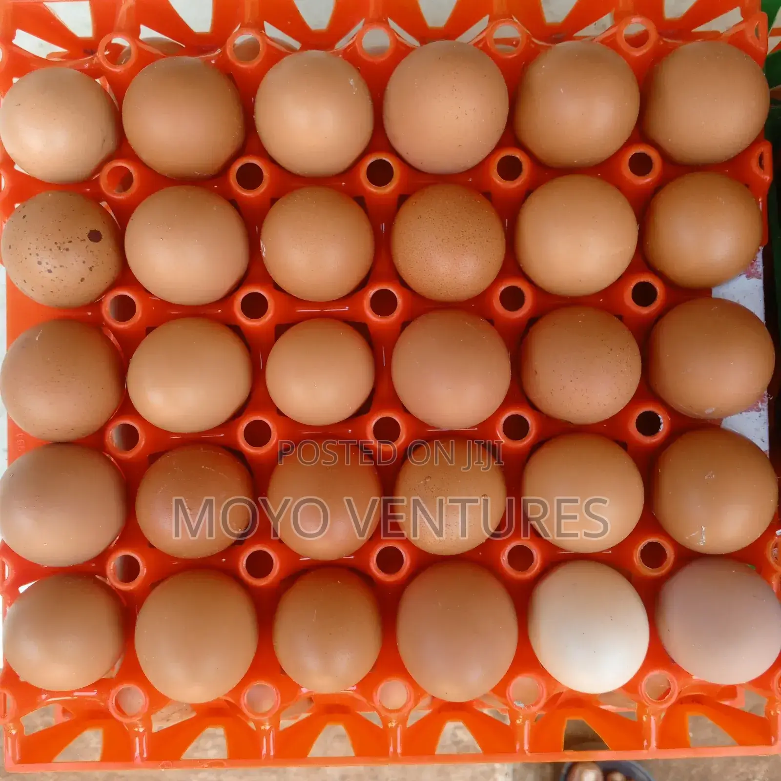 Eggs Sales