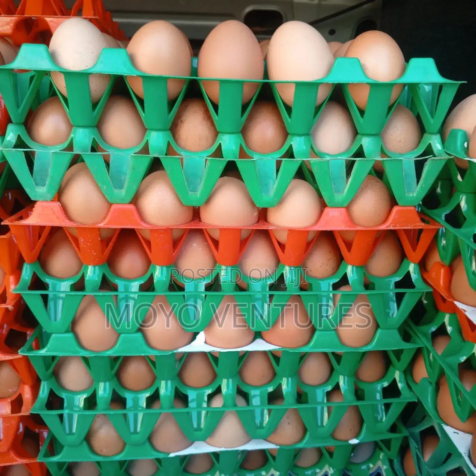 Eggs Sales