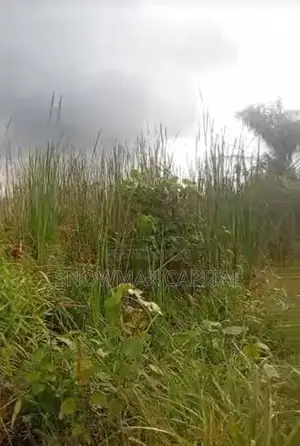 2 Plot of Dry Land for Sale