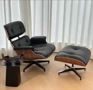 Morden Luxury Relaxation Chair With Foot Rest