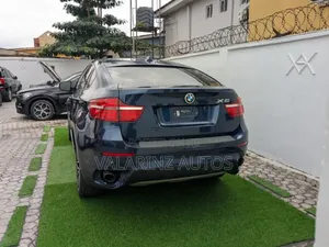 BMW X6 xDrive35i 4x4 Coupe (3.0L 6cyl 8A) 2013 Blue