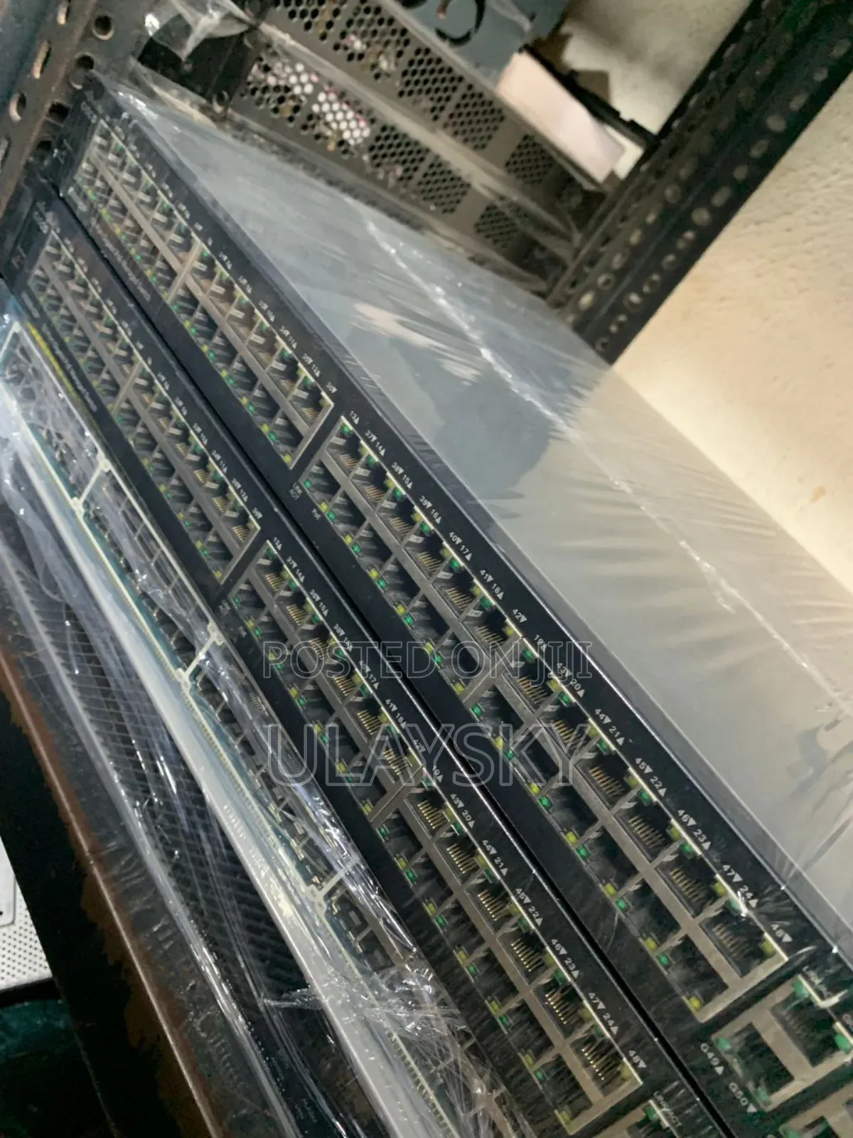Network Administrator
