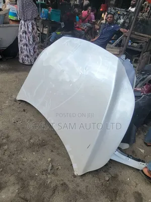 Lexus Rx 350 2024 Model Bonnet Neat One