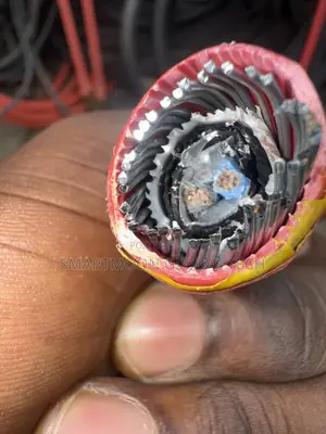 2.5mm 1pair Armored Cable