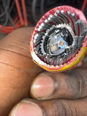 2.5mm 1pair Armored Cable