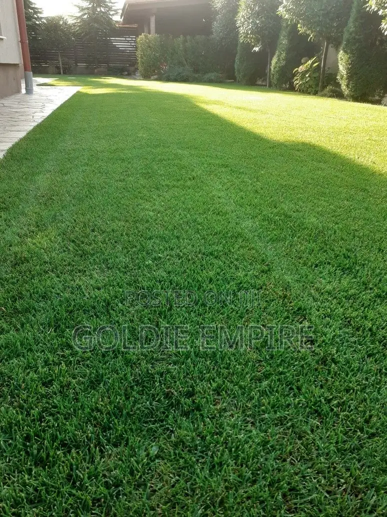 Professional Grass Cutter