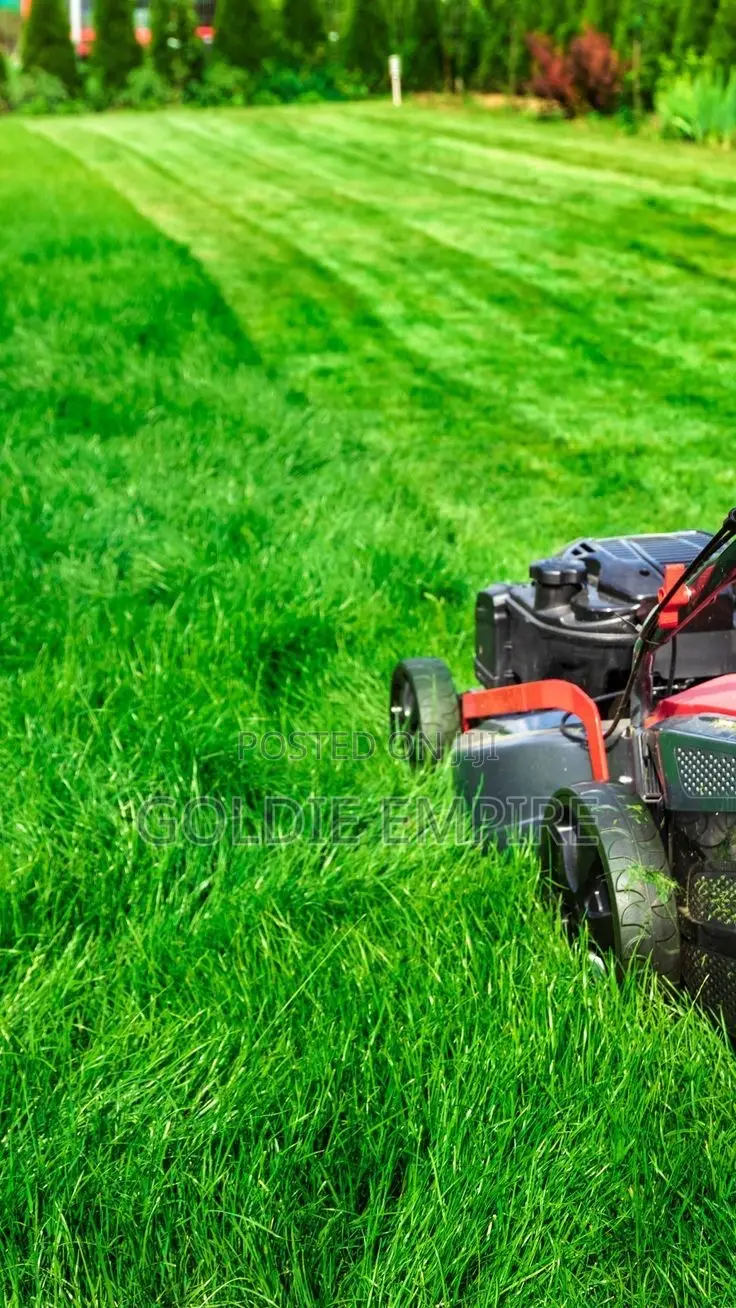 Professional Grass Cutter