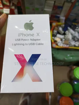 iPhone X Charger