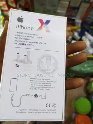 iPhone X Charger