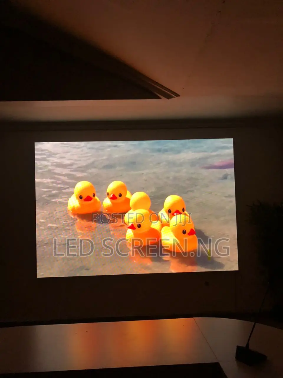 Beyond Bright Led Screen
