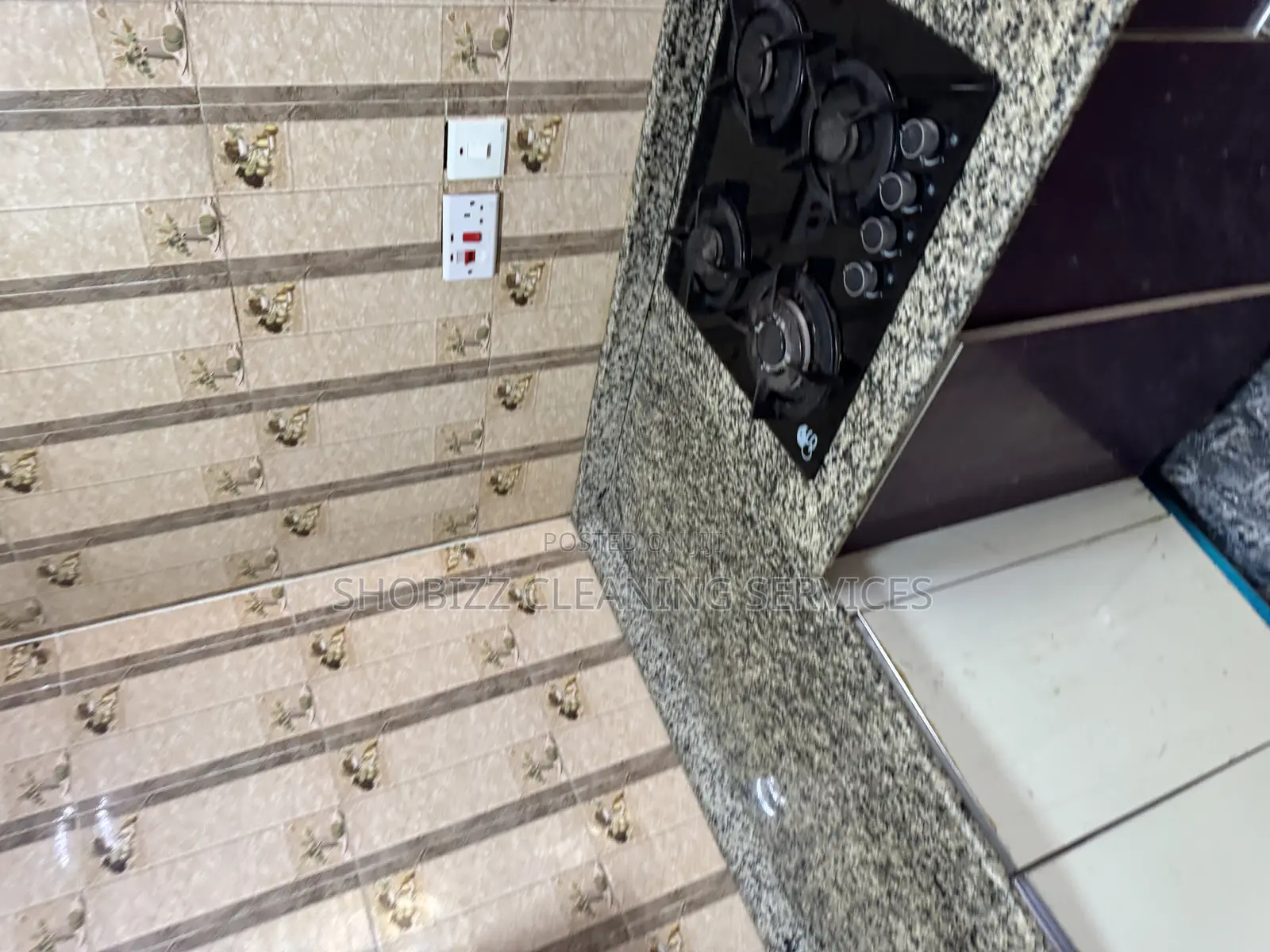 General Cleaning/Post Construction Cleaning/Upholstery/Fumigation