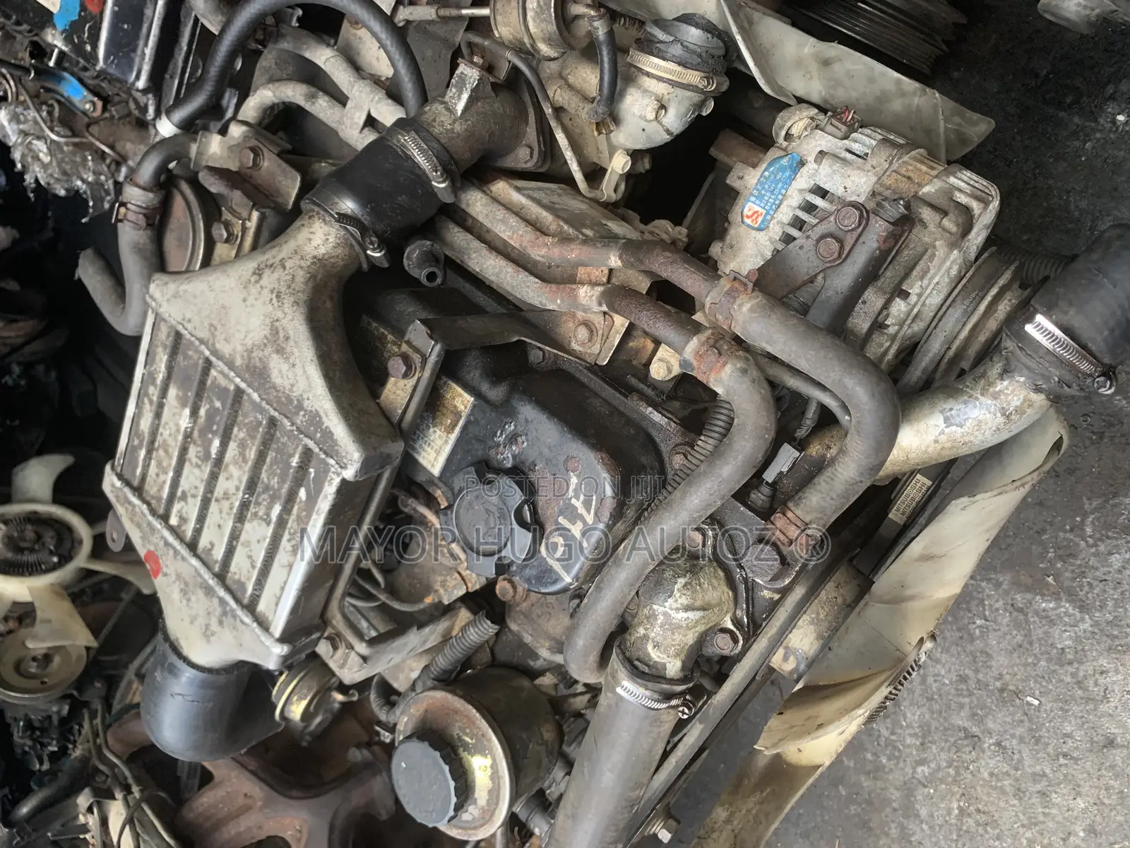 Nissan Np300 Engine