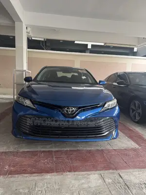 Toyota Camry LE (2.5L 4cyl 8A) 2019 Blue
