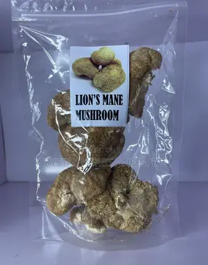 Lion’S Mane Mushroom 100g (Wholesalers Come in for Your Sweet Price)