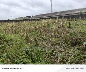 2 Plot Very Close to the Road for Sale at Elepe