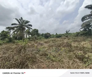 Full Plot for Sale, Off Caleb University, Imota, Ikorodu