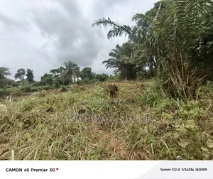 Full Plot for Sale, Off Caleb University, Imota, Ikorodu