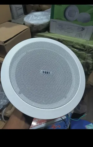 Ceiling Bluetooth Speaker