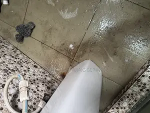 Apartment Cleaning/Stain Removal/Toilet Cleaning