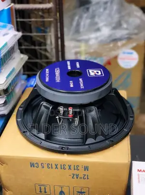 Bm 12 Inches Line Array Speaker