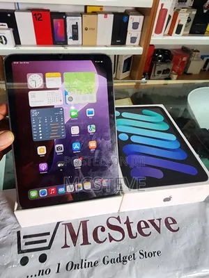 Apple iPad mini (2021) 256 GB Gray