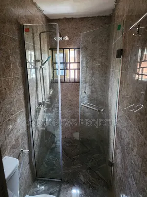 Frameless Plain Shower Glass
